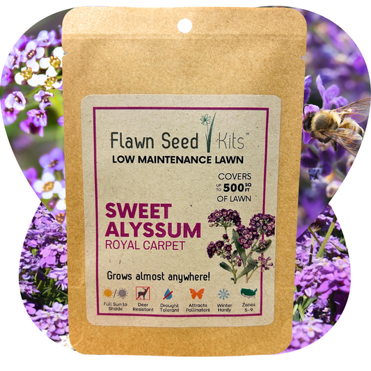 Sweet Alyssum Royal Carpet seed pouch from Flawn Seed Kits, showing seed tape for easy planting of vibrant ground cover.