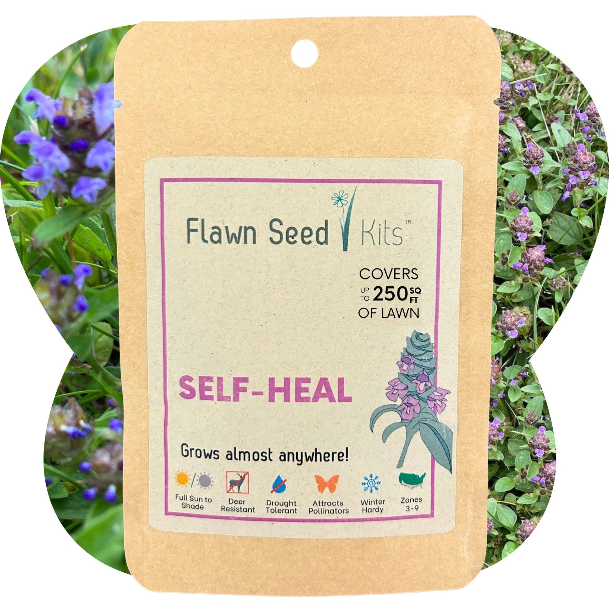 Self-Heal Seed Pouch - Blessings Grow Meadows
