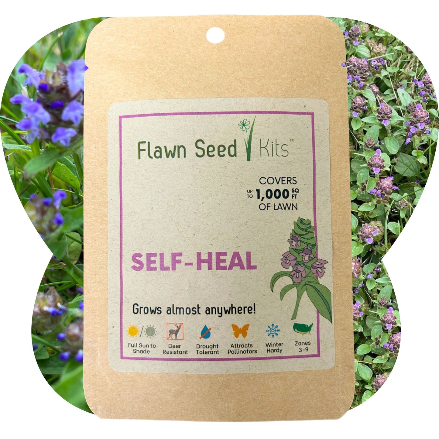Self-Heal Seed Pouch - Blessings Grow Meadows