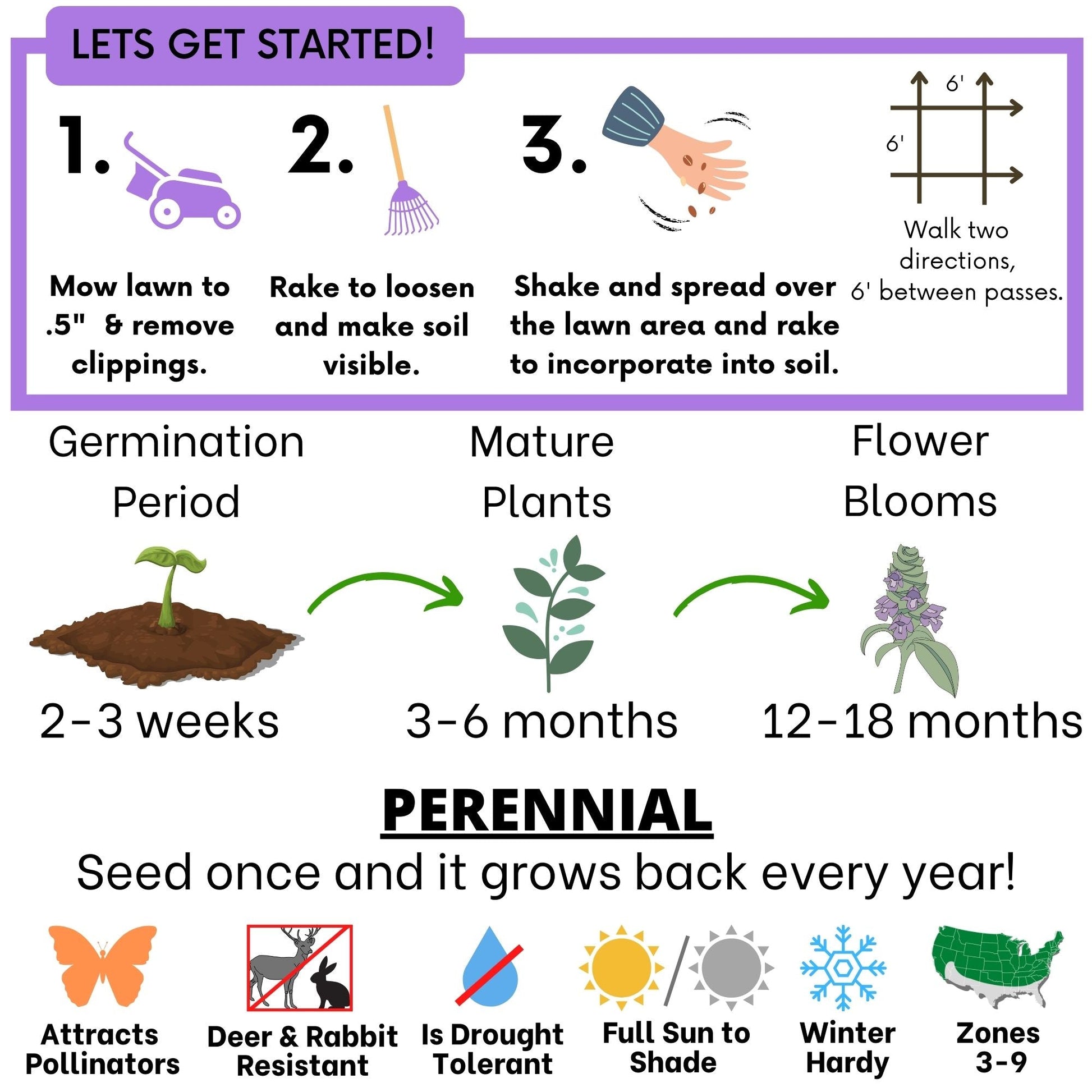 Self-Heal Seed Pouch - Blessings Grow Meadows