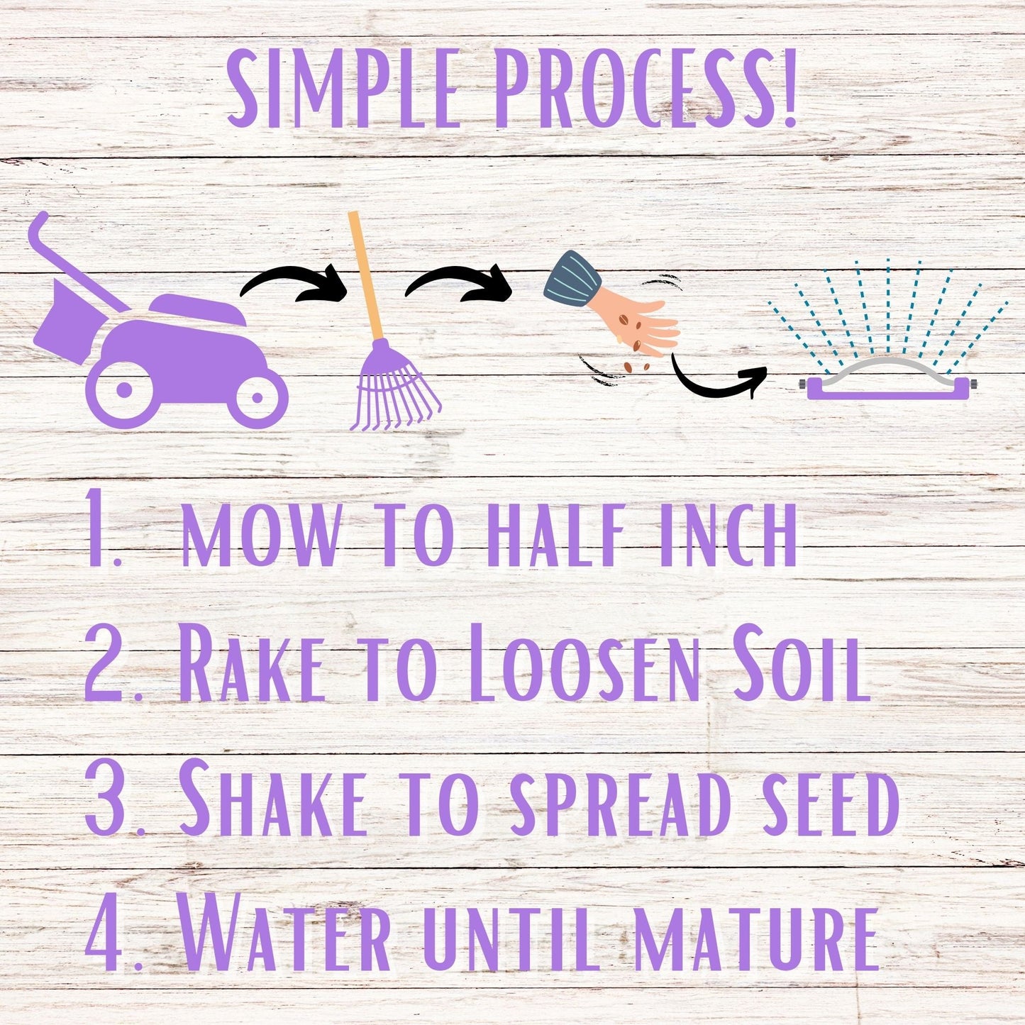 Self-Heal Seed Pouch - Blessings Grow Meadows