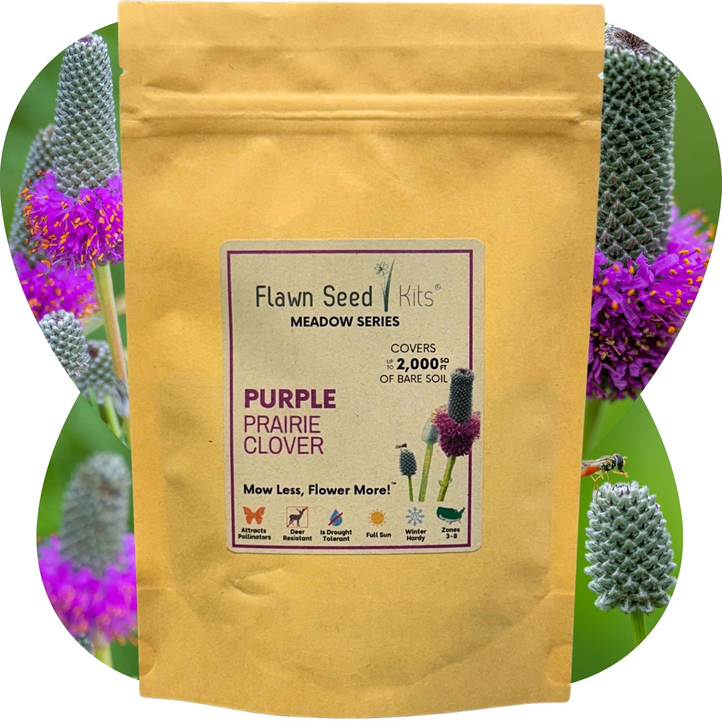 Purple Prairie Clover Seed - Blessings Grow Meadows