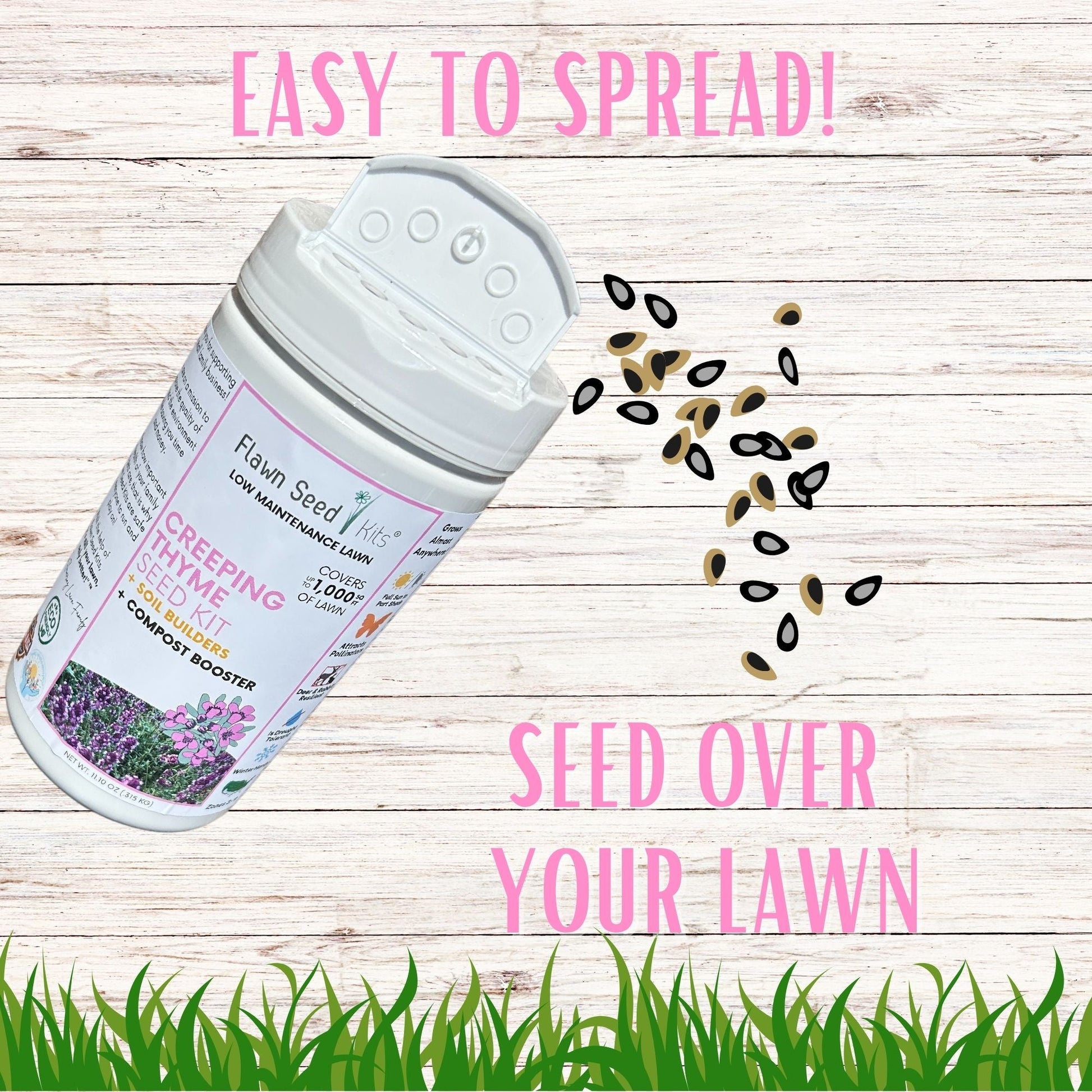 Creeping Thyme Easy Spread Shaker - Blessings Grow Meadows