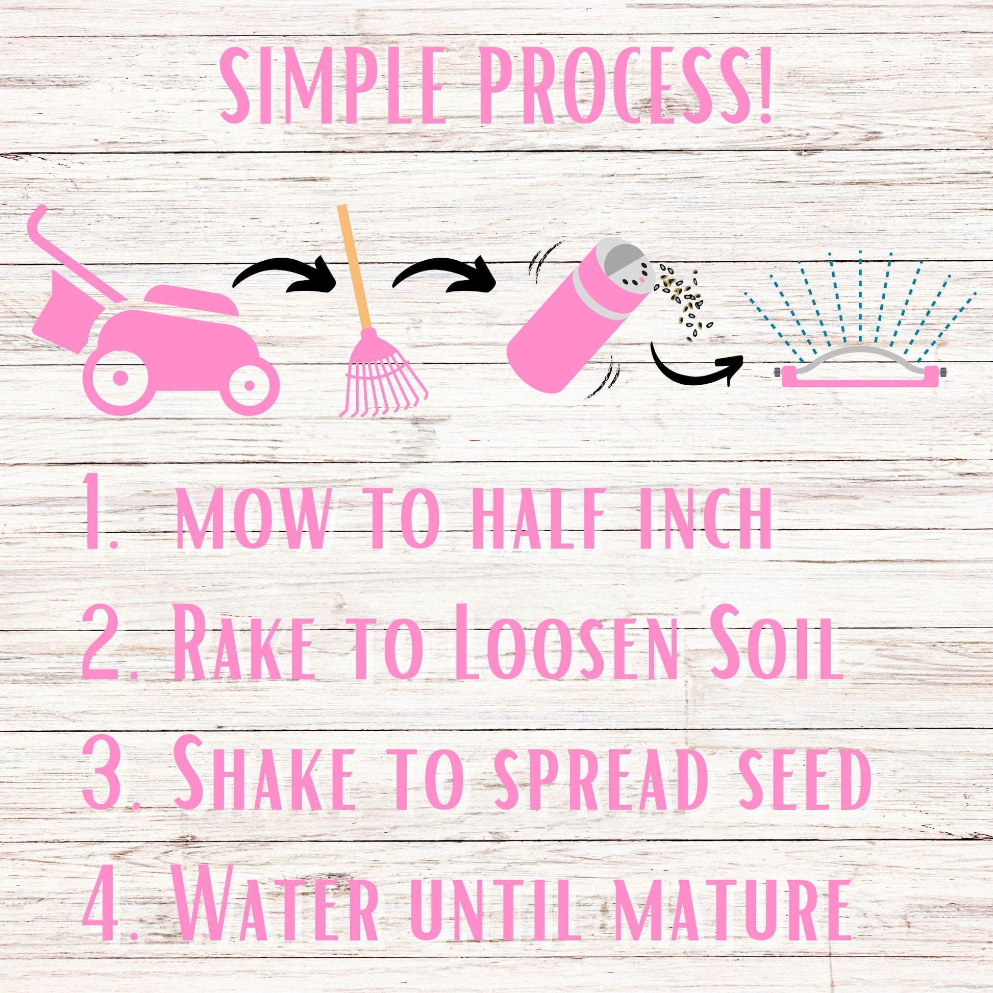 Creeping Thyme Easy Spread Shaker - Blessings Grow Meadows