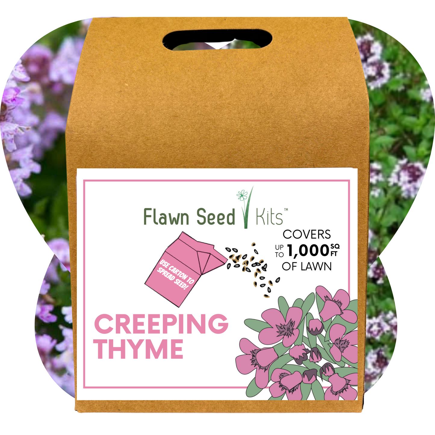 Creeping Thyme Eco-Friendly Seeding Kit - Blessings Grow Meadows