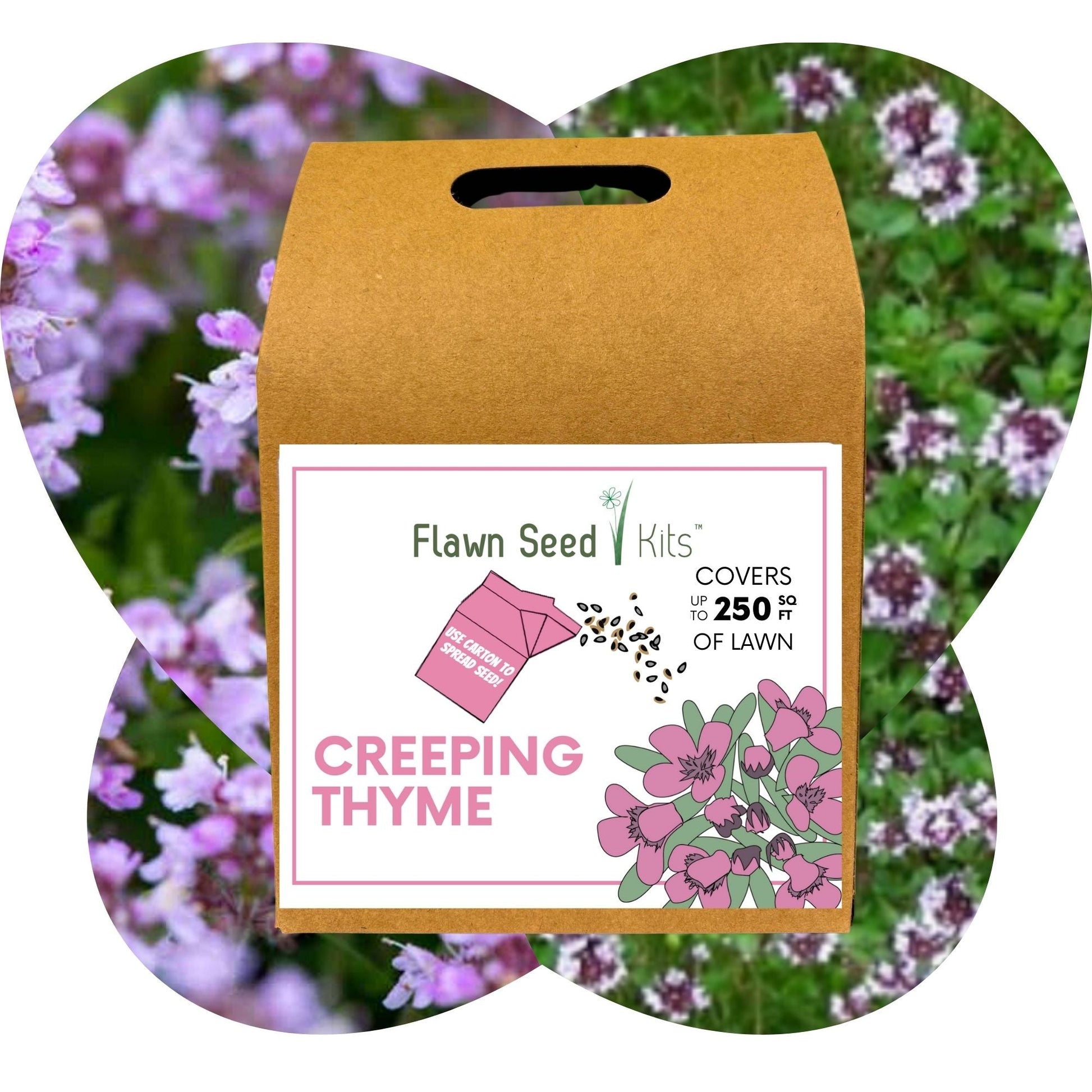 Creeping Thyme Eco-Friendly Seeding Kit - Blessings Grow Meadows