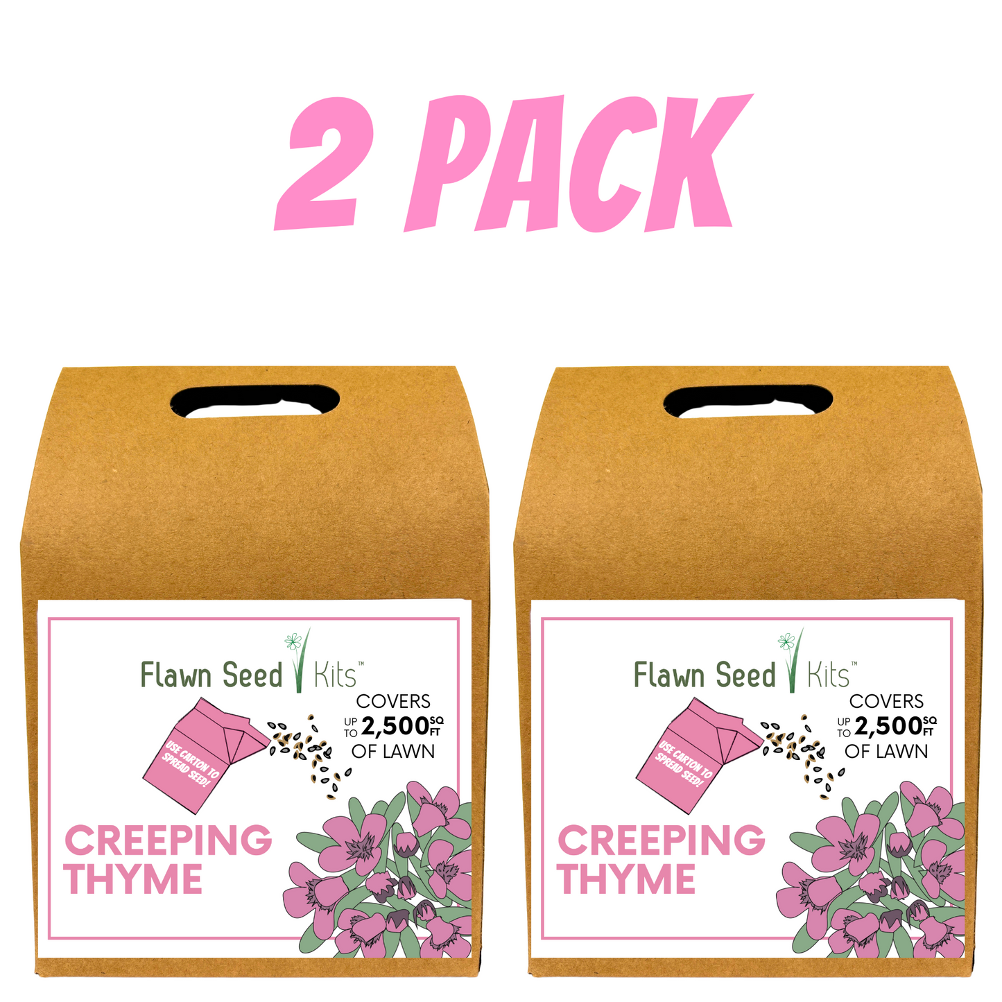 Creeping Thyme Eco-Friendly Seeding Kit - Blessings Grow Meadows