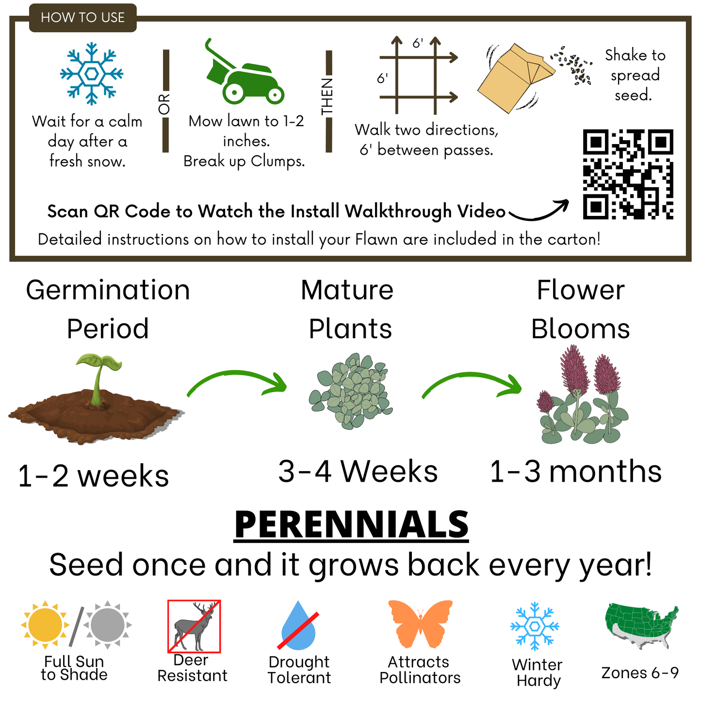 Crimson Clover Eco-Friendly Seeding Kit - Blessings Grow Meadows