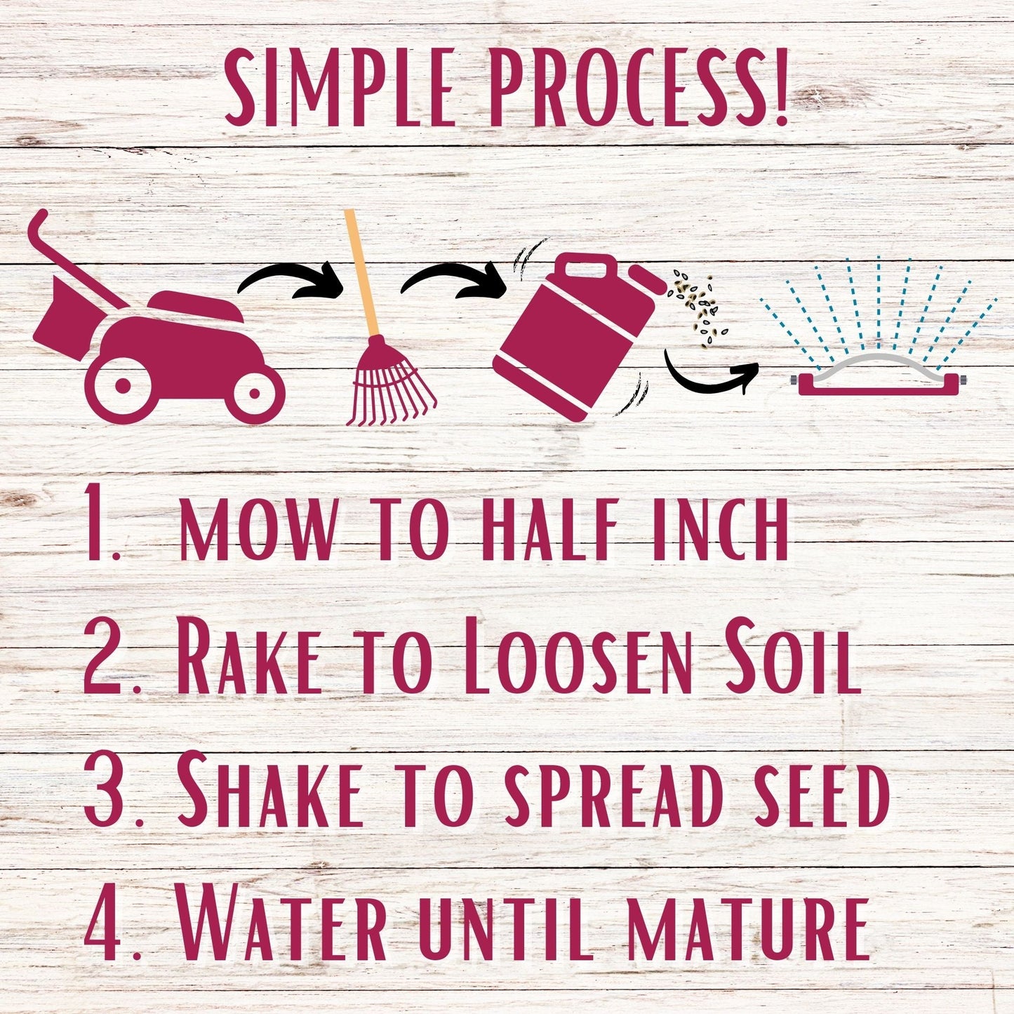 Crimson Clover + Mow Less Grass Seed - Blessings Grow Meadows