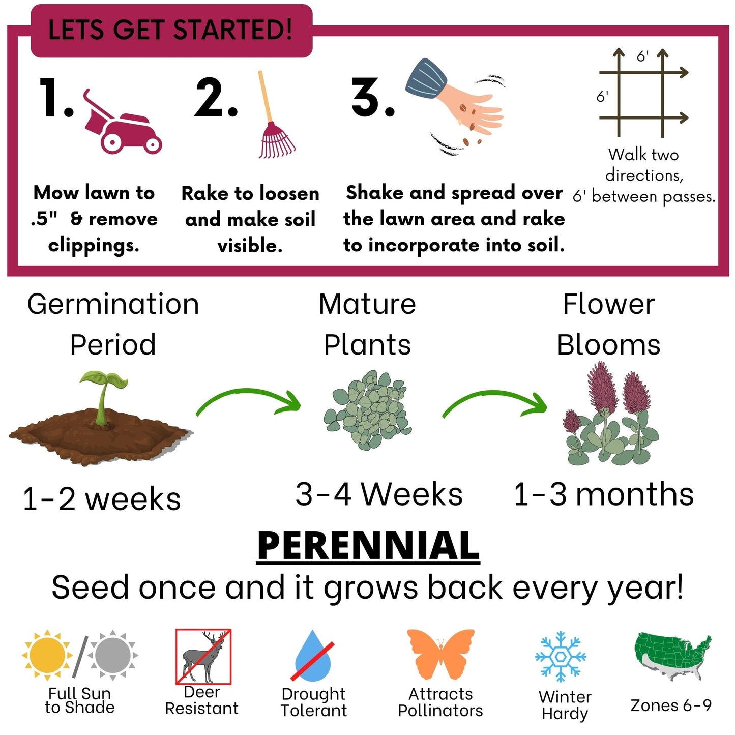 Crimson Clover + Mow Less Grass Seed - Blessings Grow Meadows