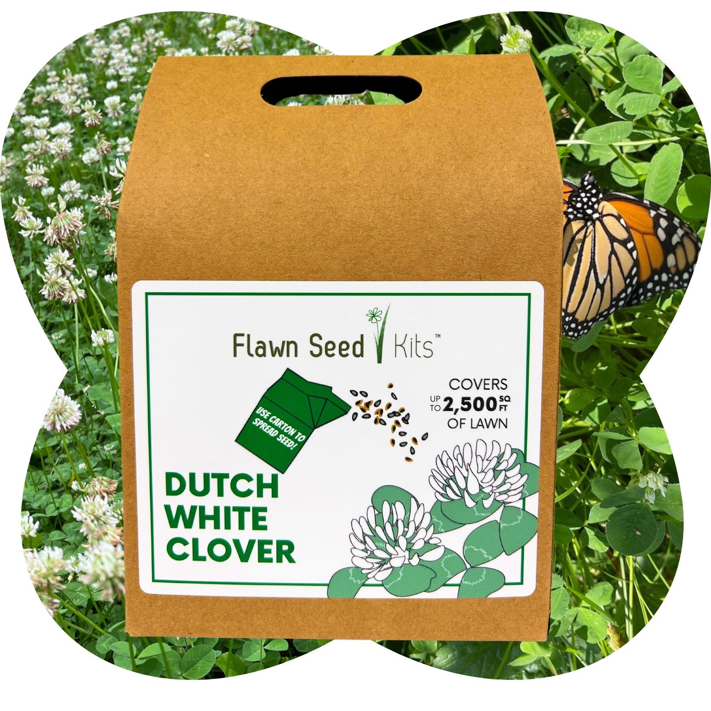 Dutch White Clover Eco-Friendly Seeding Kit - Blessings Grow Meadows