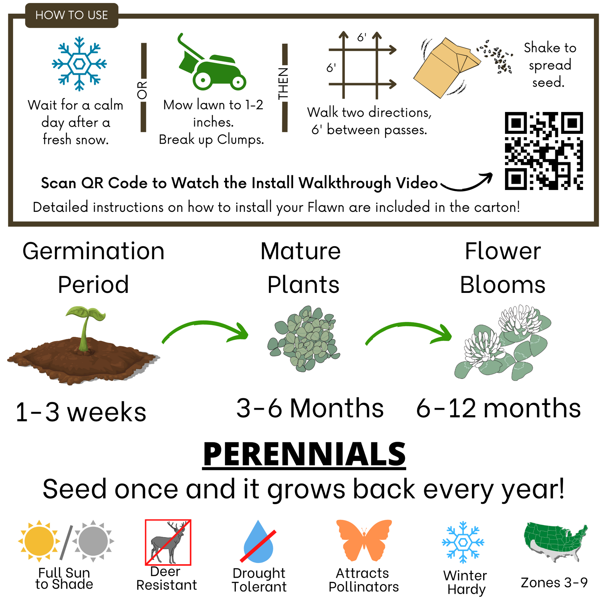 Dutch White Clover Eco-Friendly Seeding Kit - Blessings Grow Meadows