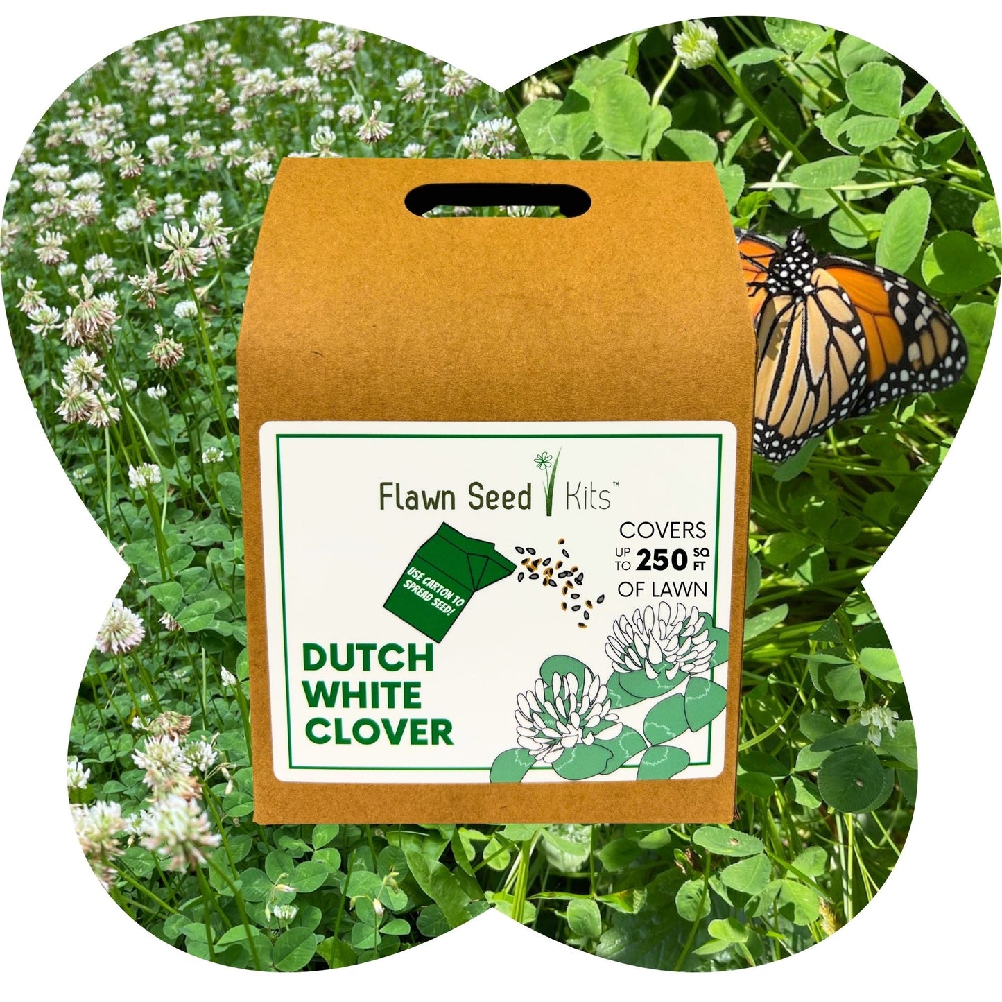 Dutch White Clover Eco-Friendly Seeding Kit - Blessings Grow Meadows