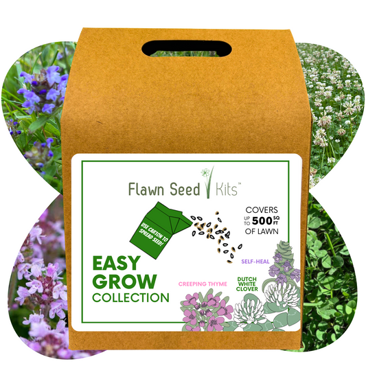 Easy Grow Dutch Clover Bee Lawn Eco-Friendly Kit - Blessings Grow Meadows