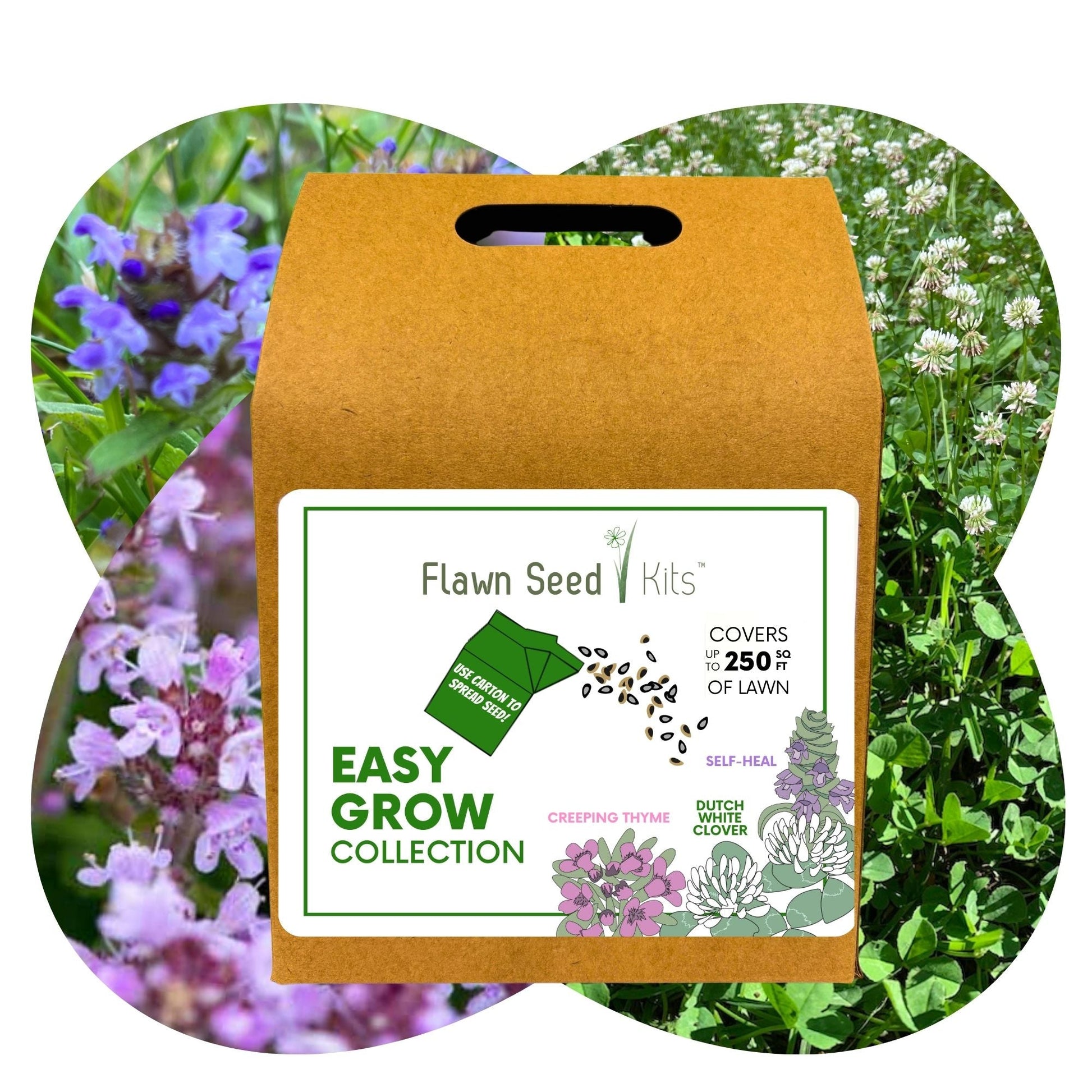 Easy Grow Dutch Clover Bee Lawn Eco-Friendly Kit - Blessings Grow Meadows