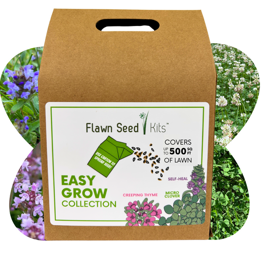 Easy Grow Micro Bee Lawn Eco-Friendly Kit - Blessings Grow Meadows