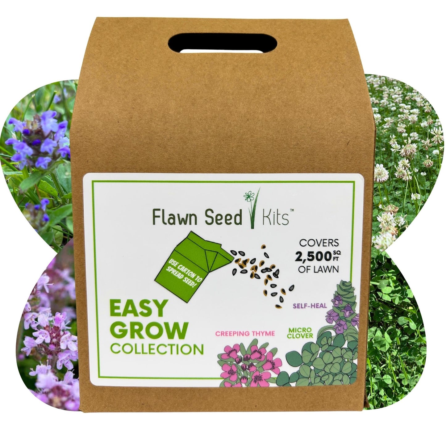 Easy Grow Micro Bee Lawn Eco-Friendly Kit - Blessings Grow Meadows