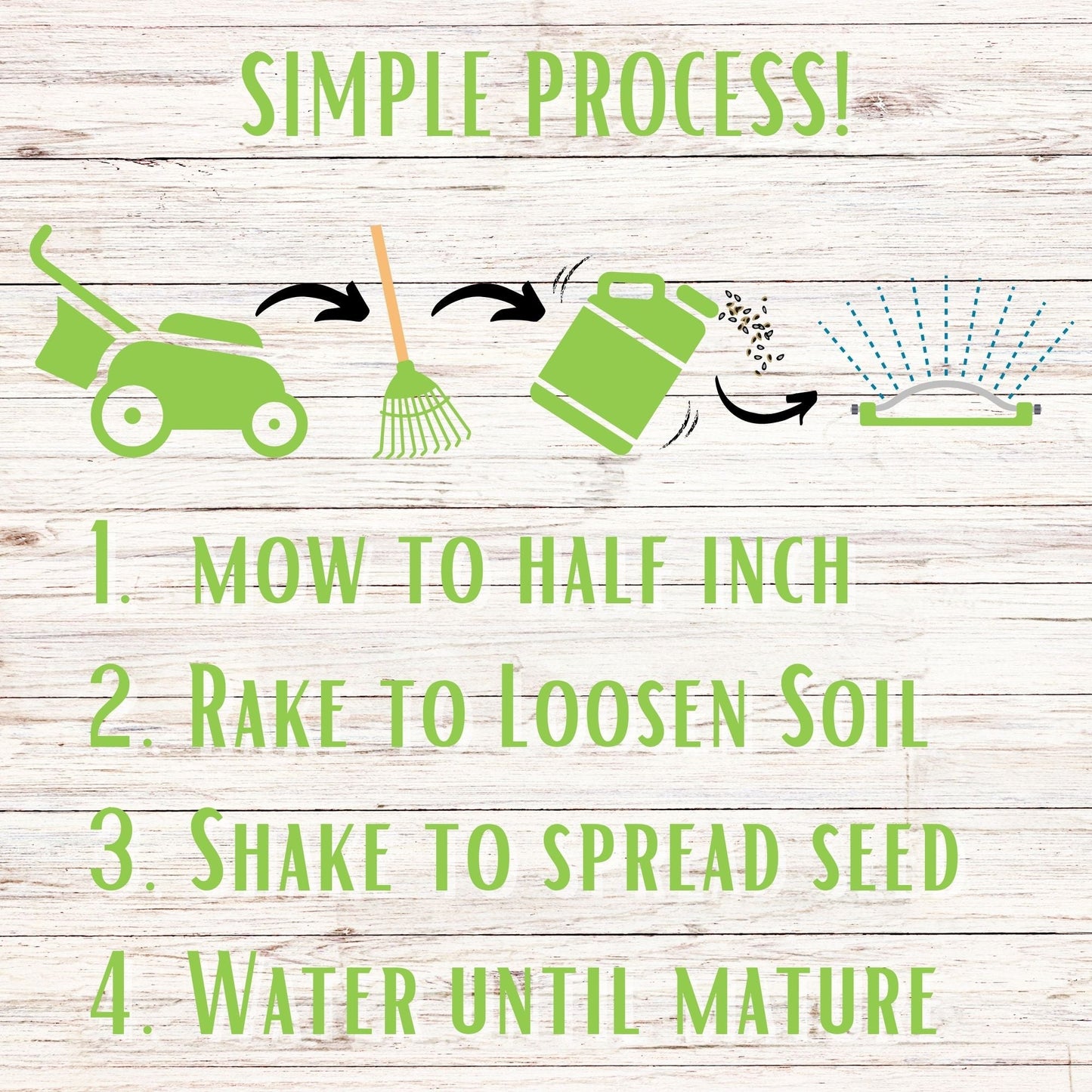 Micro Clover Bee Lawn Seed Mixture - Easy Spread Shaker - Blessings Grow Meadows