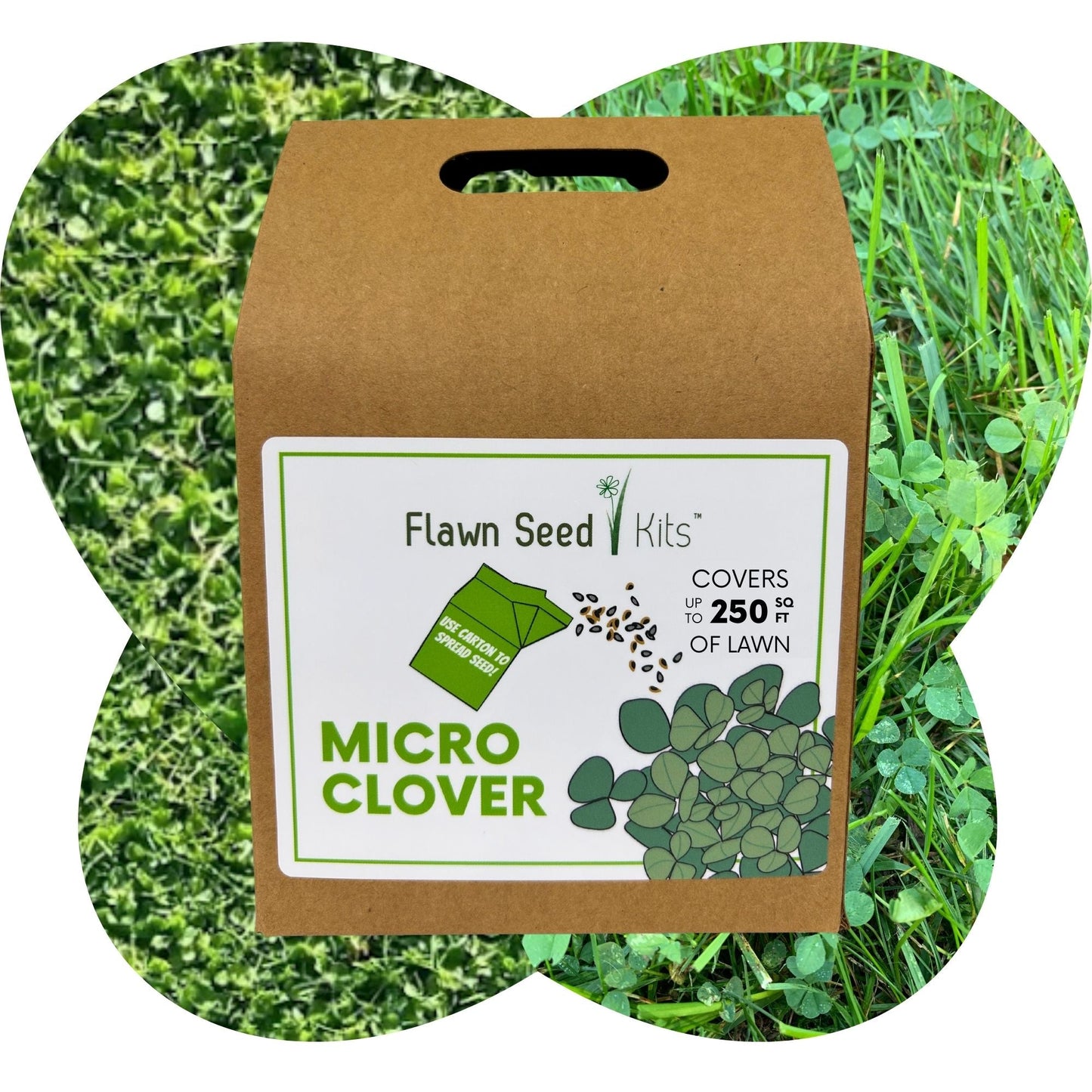 Micro Clover Seed Eco-Spread Carton - Blessings Grow Meadows