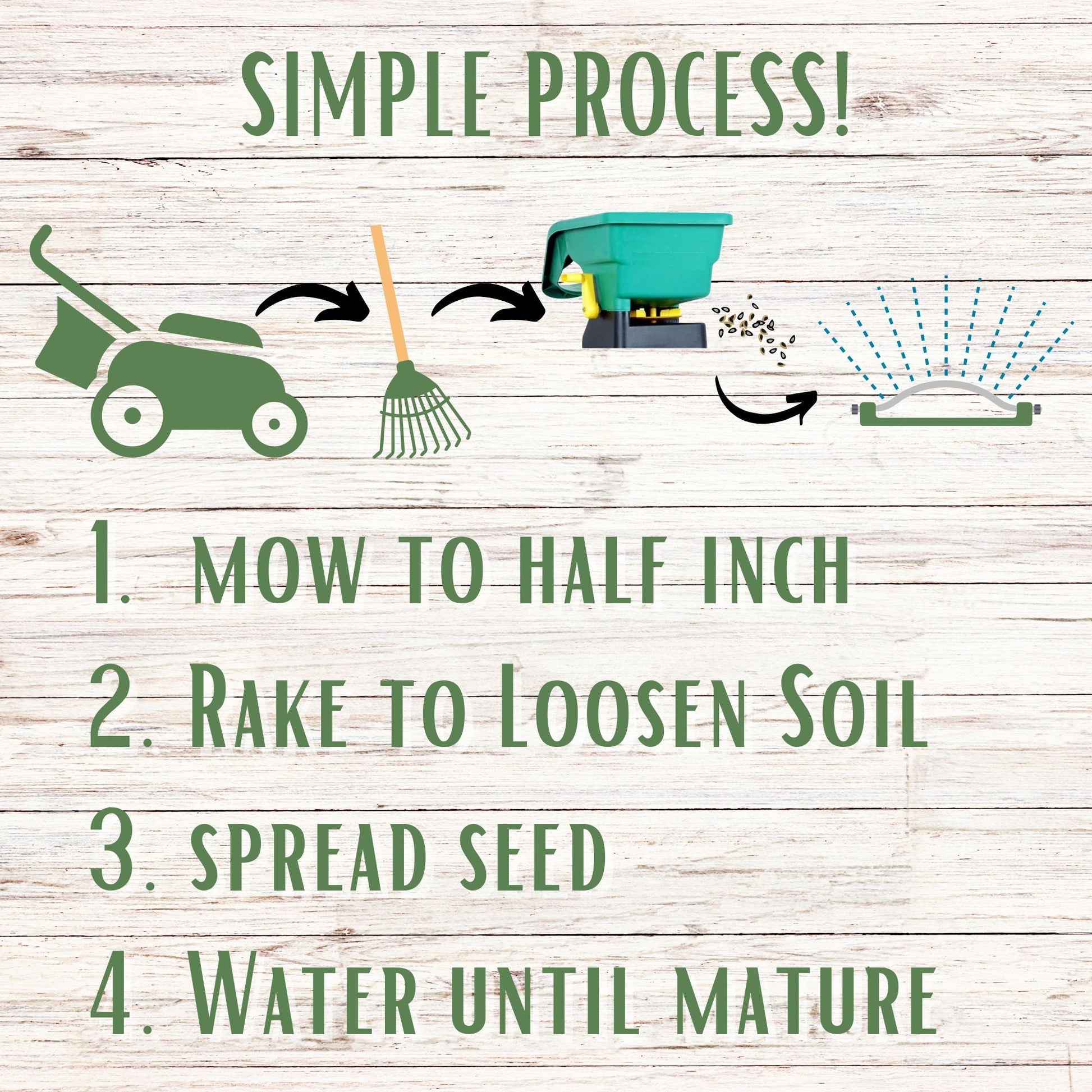 Dutch White Clover + Mow Less Grass Seed - Blessings Grow Meadows