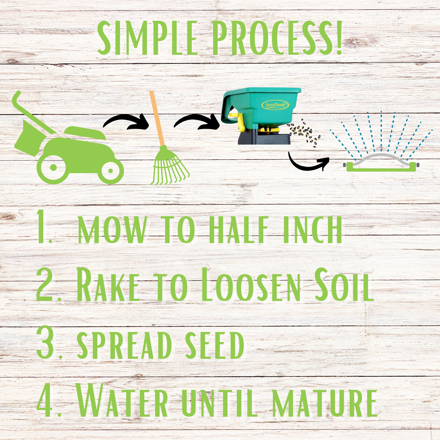 Micro Clover + Mow Less Grass Seed - Blessings Grow Meadows