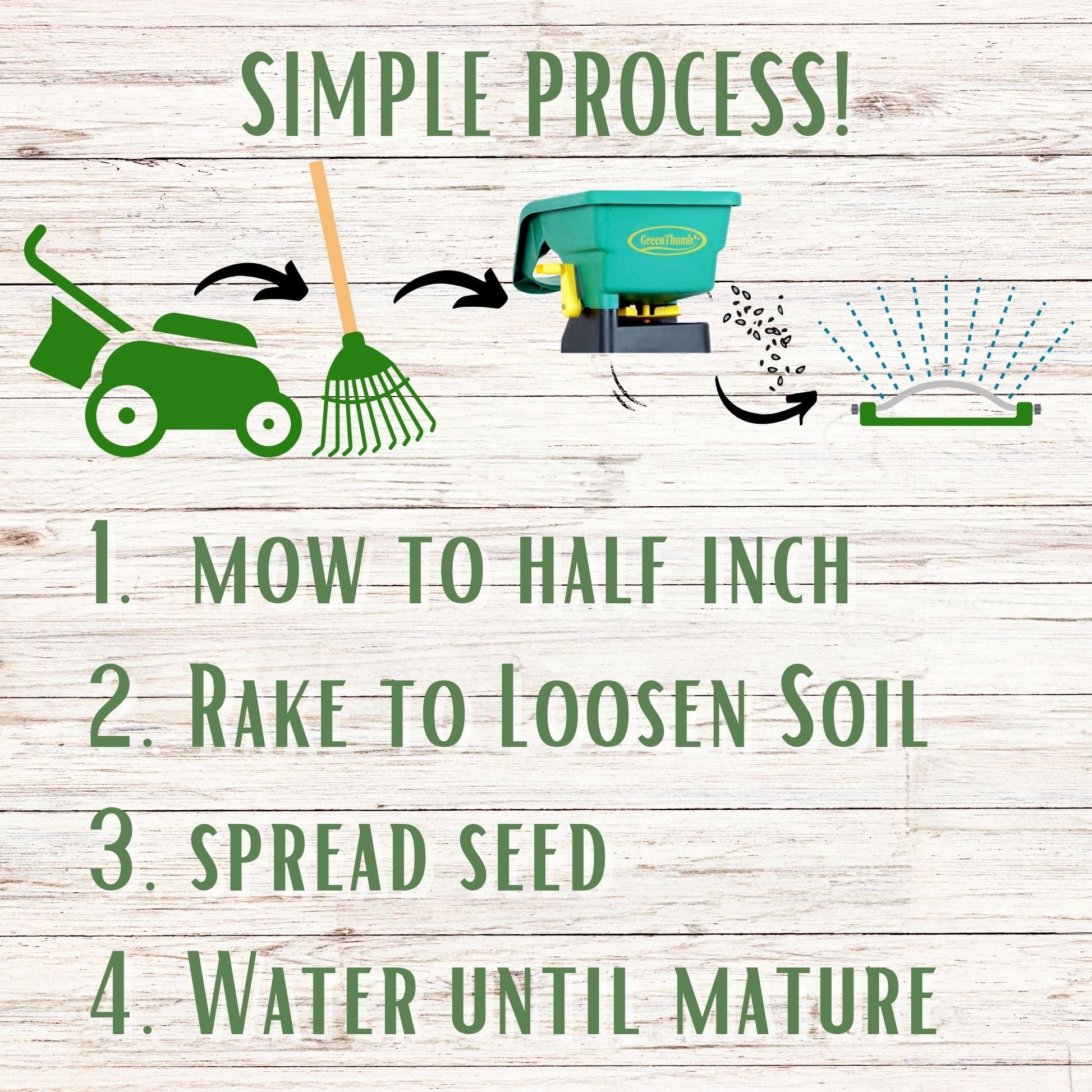 TRI-Color Clover + Mow Less Grass Seed - Blessings Grow Meadows