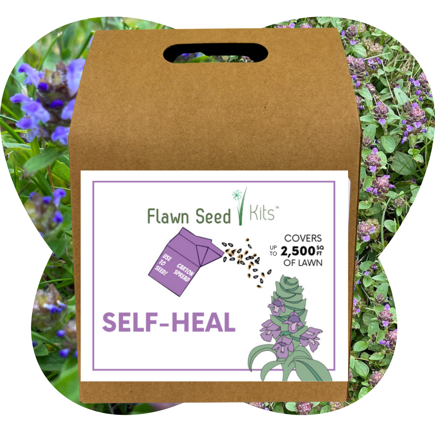 Self-Heal "Heal-All" Eco-Friendly Seeding Kit (Limited Time) - Blessings Grow Meadows