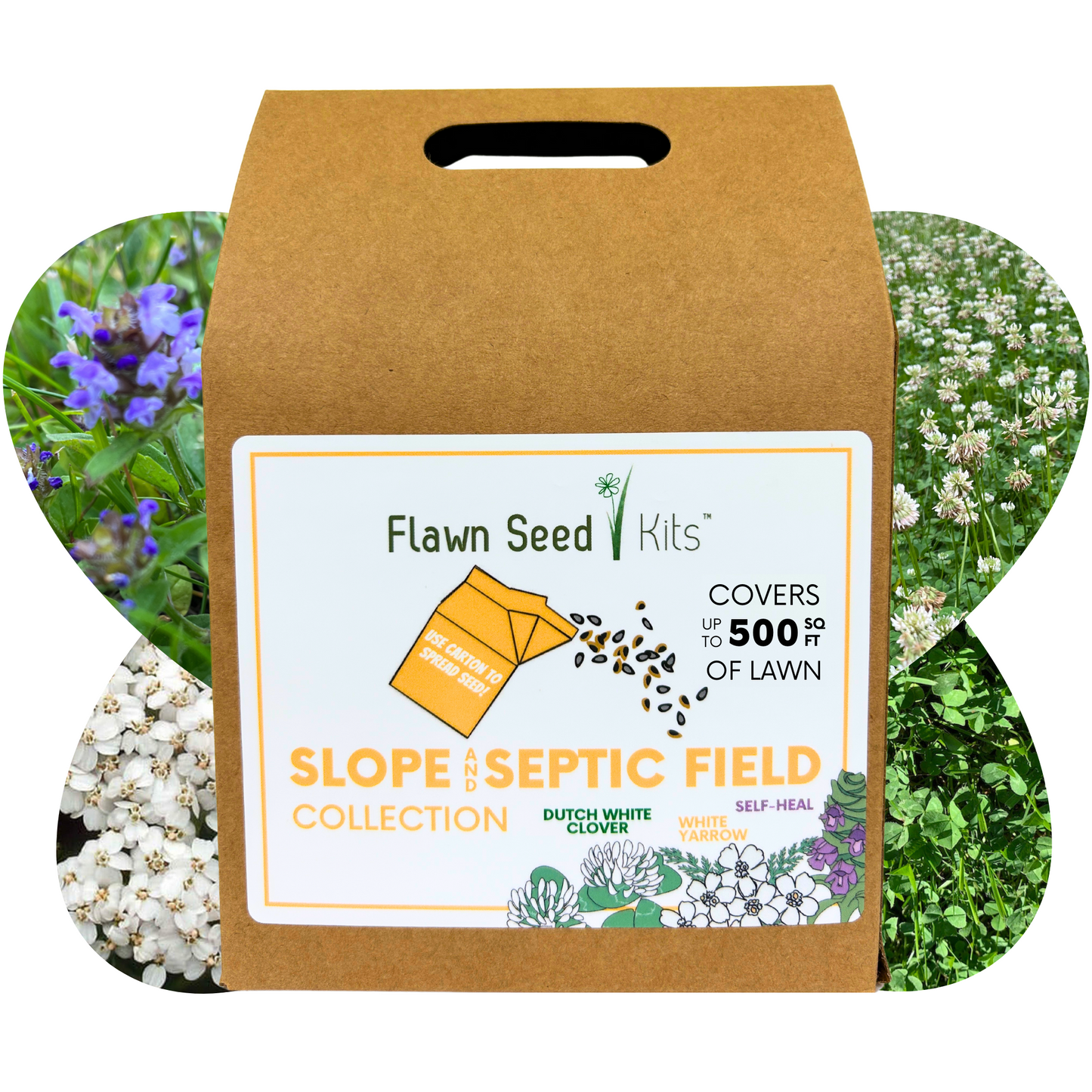 Slope and Septic System Seed Kit - Blessings Grow Meadows