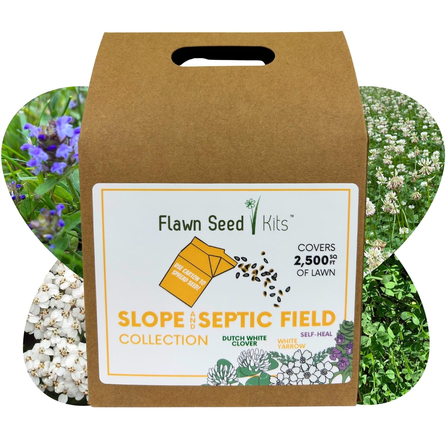 Slope and Septic System Seed Kit - Blessings Grow Meadows