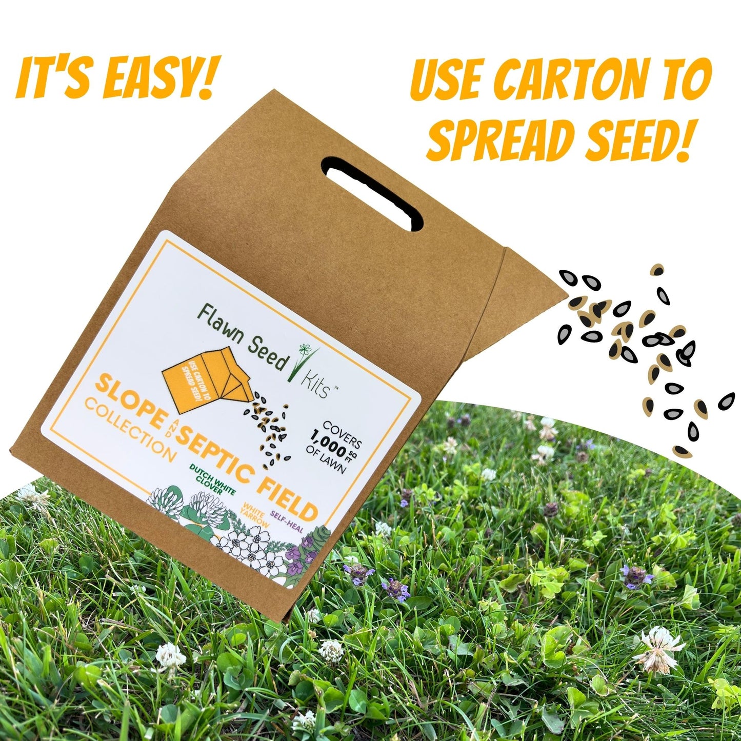 Slope and Septic System Seed Kit - Blessings Grow Meadows