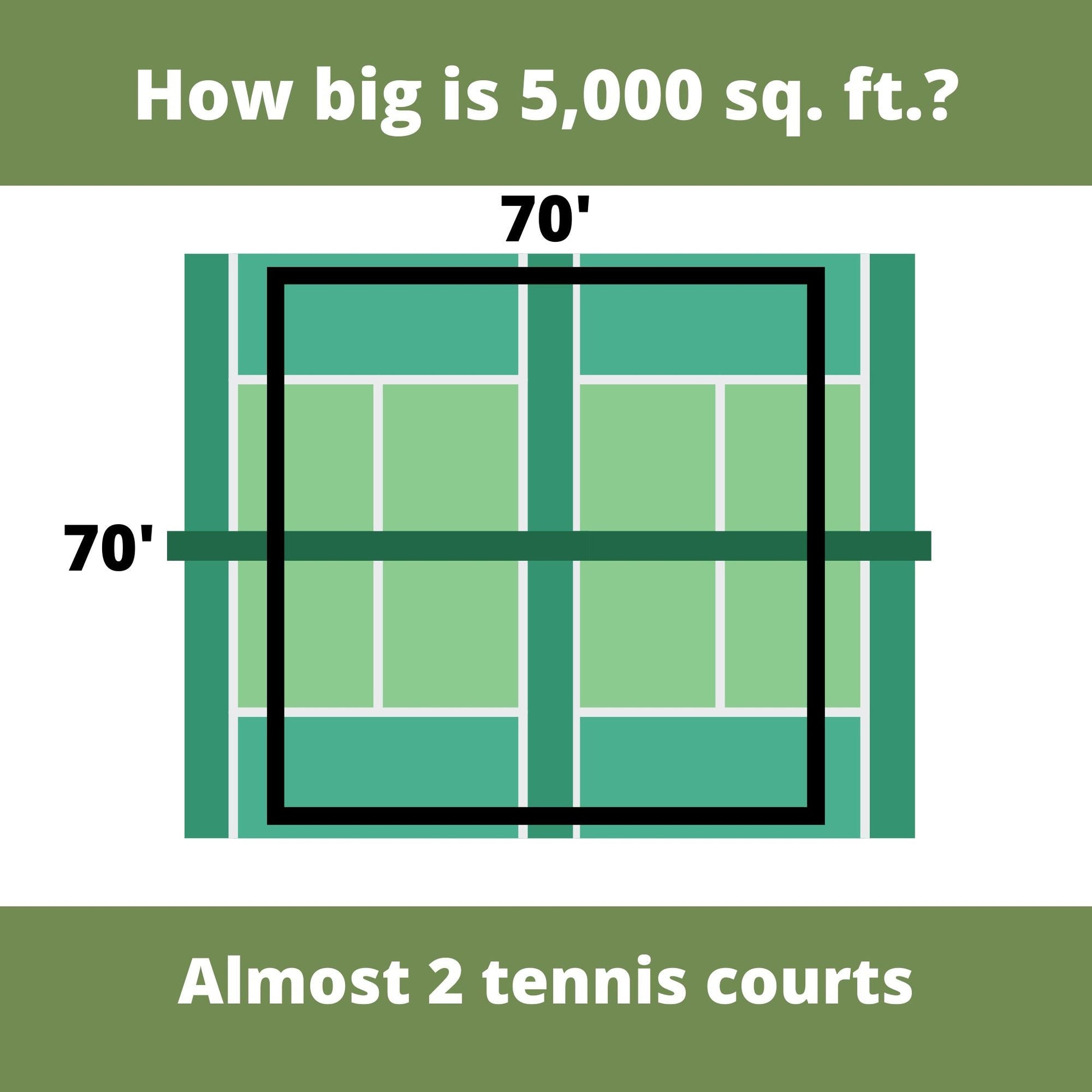 Speedy Bee Lawn Eco-Spread Carton - Blessings Grow Meadows