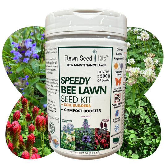 Speedy Bee Lawn Seed Kit - Blessings Grow Meadows