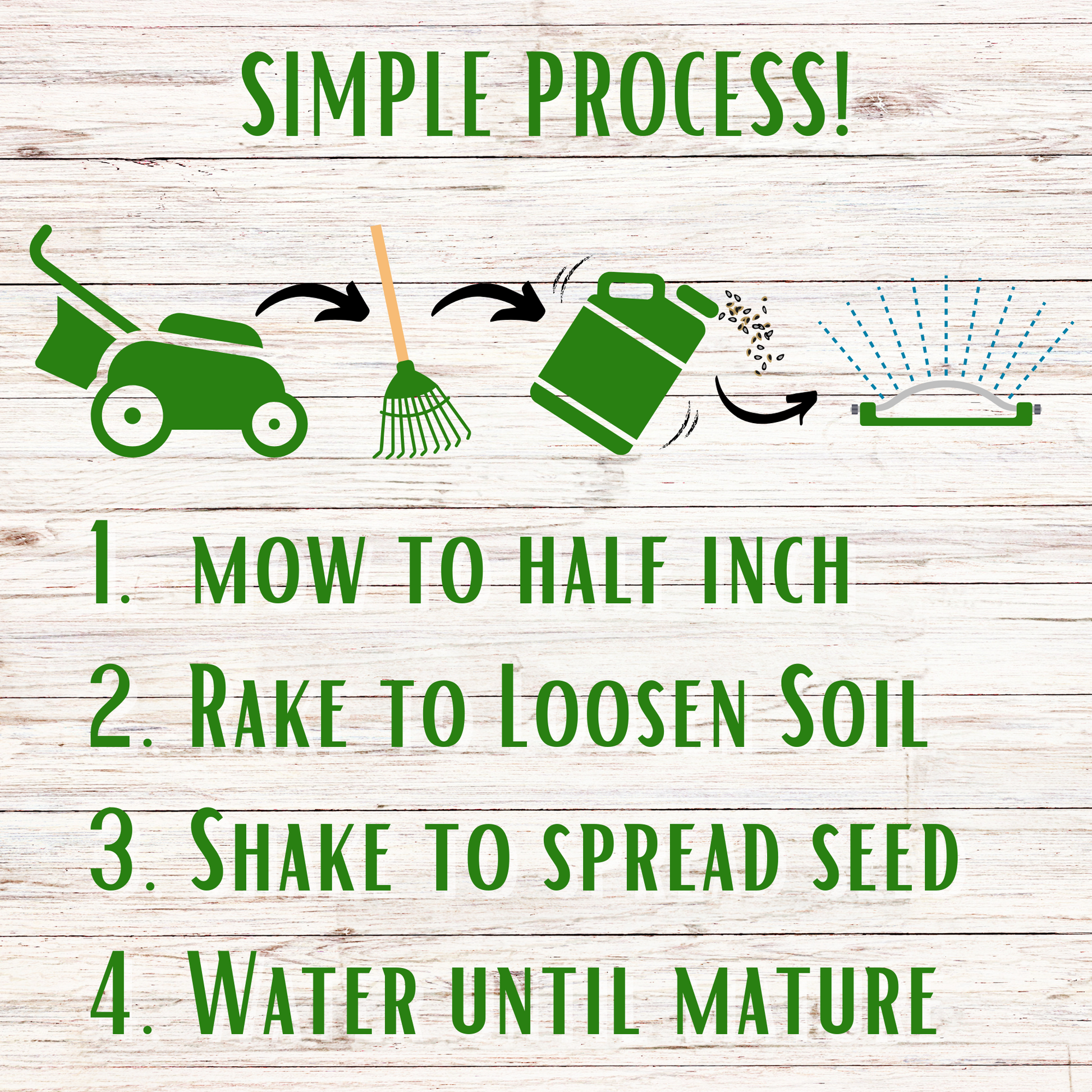 Speedy Bee Lawn Seed Kit - Blessings Grow Meadows