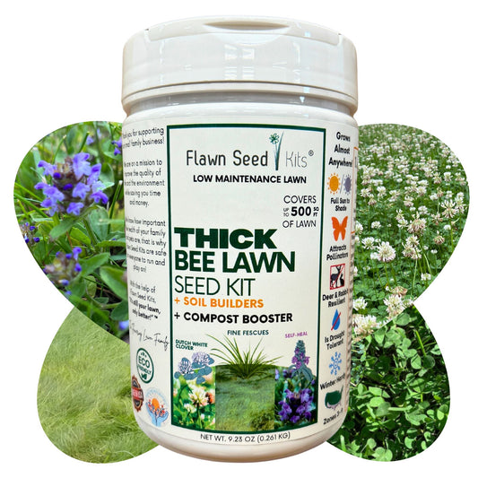 Thick Bee Lawn Seed Kit - Blessings Grow Meadows