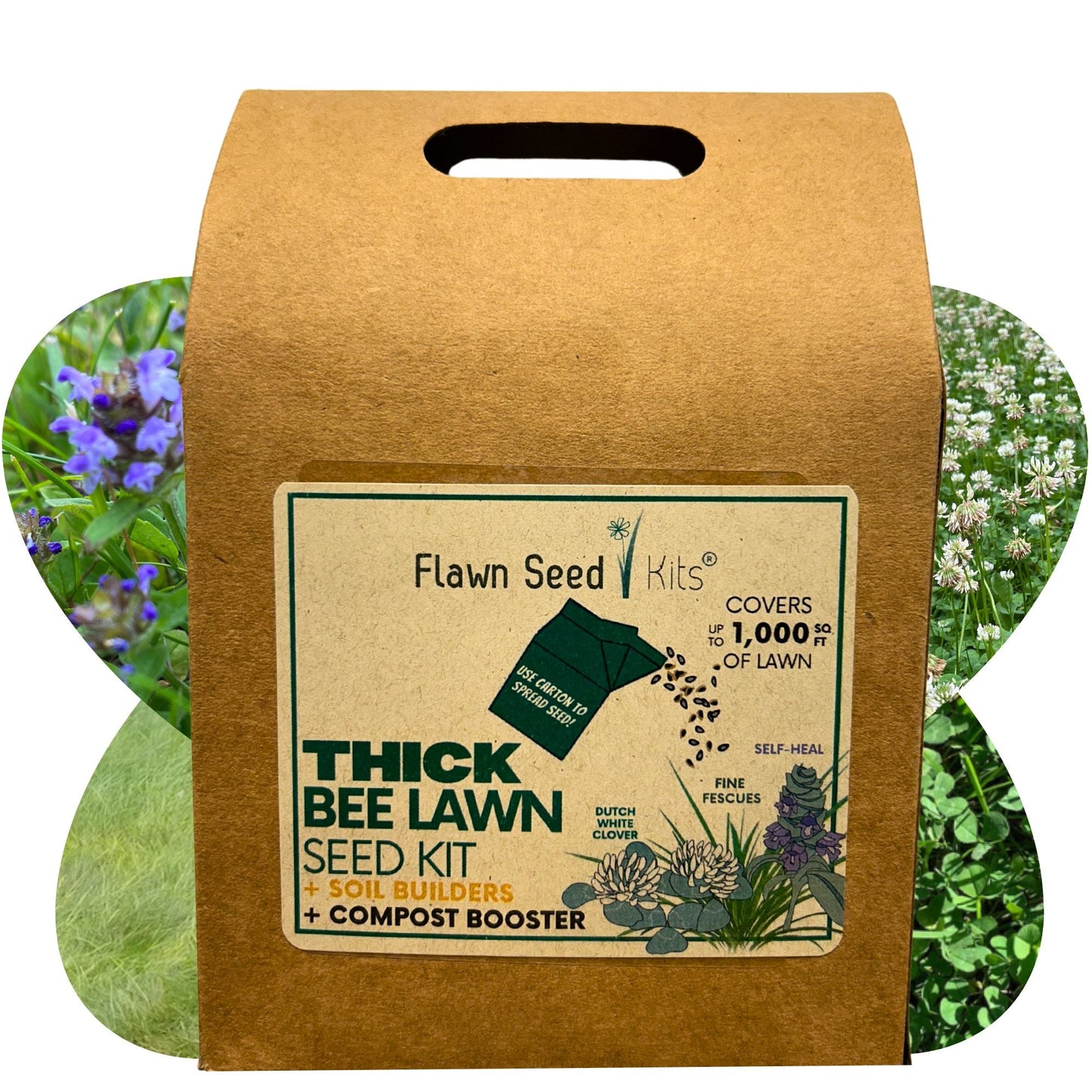 Thick Bee Lawn Seed Kit Eco-Spread Carton - Blessings Grow Meadows