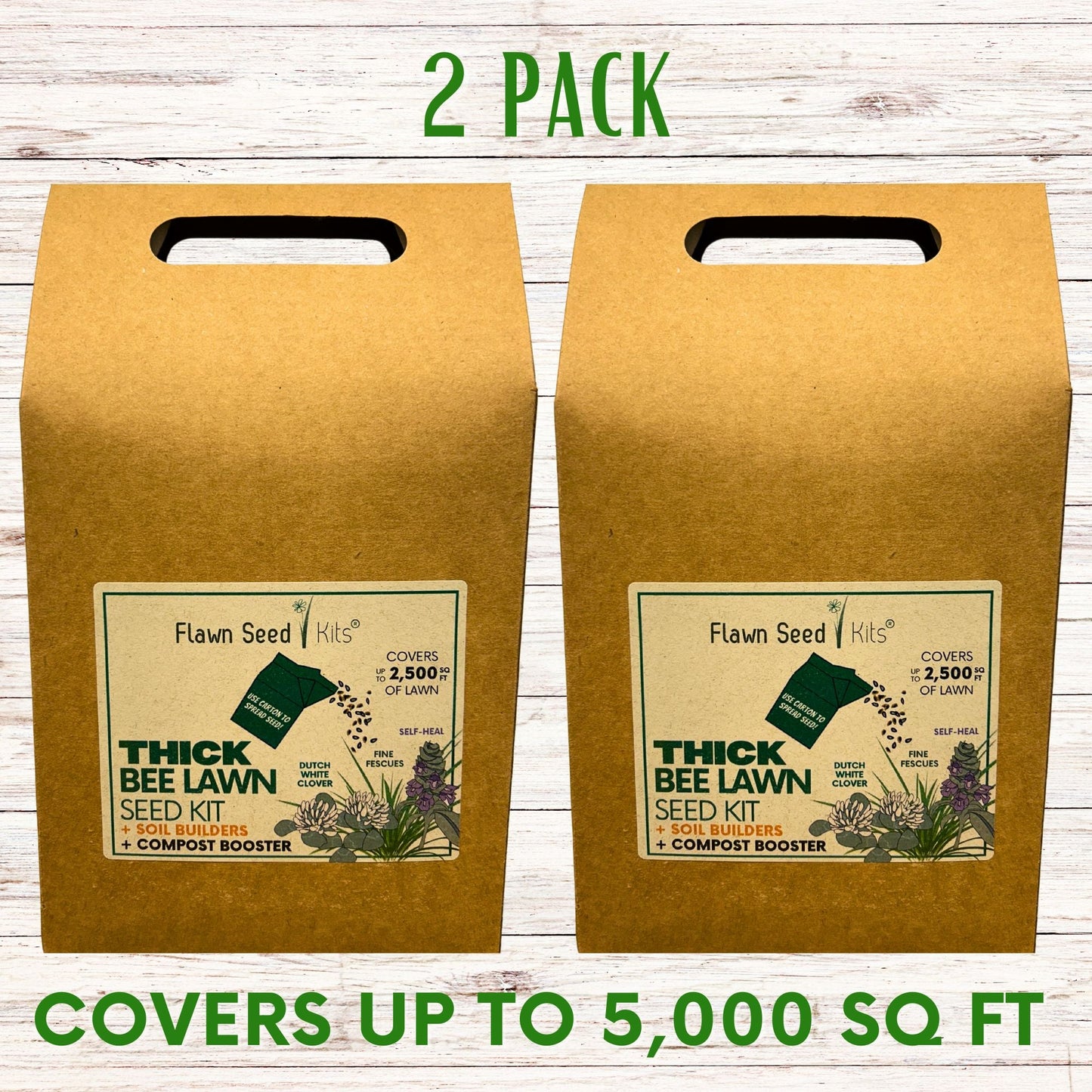 Thick Bee Lawn Seed Kit Eco-Spread Carton - Blessings Grow Meadows