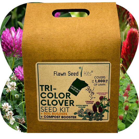Tri-Color Clover Seed Mix Eco-Spread Carton - Blessings Grow Meadows