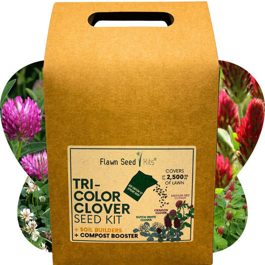 Tri-Color Clover Seed Mix Eco-Spread Carton - Blessings Grow Meadows