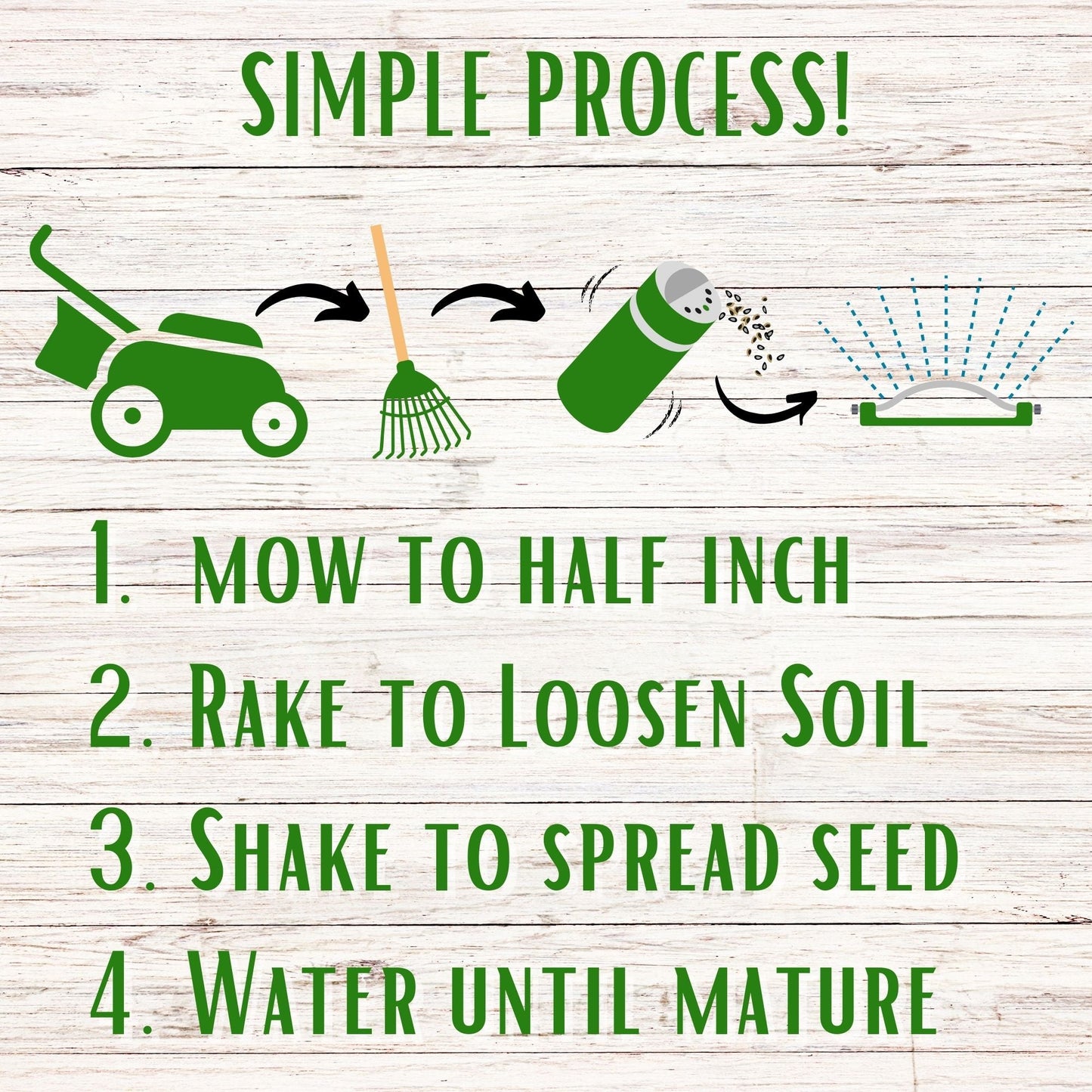 Dutch White Clover Easy Spread Shaker - Blessings Grow Meadows