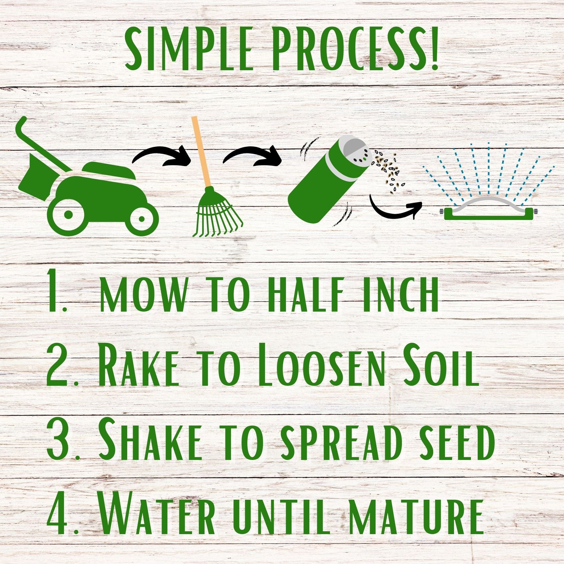 Dutch White Clover Easy Spread Shaker - Blessings Grow Meadows