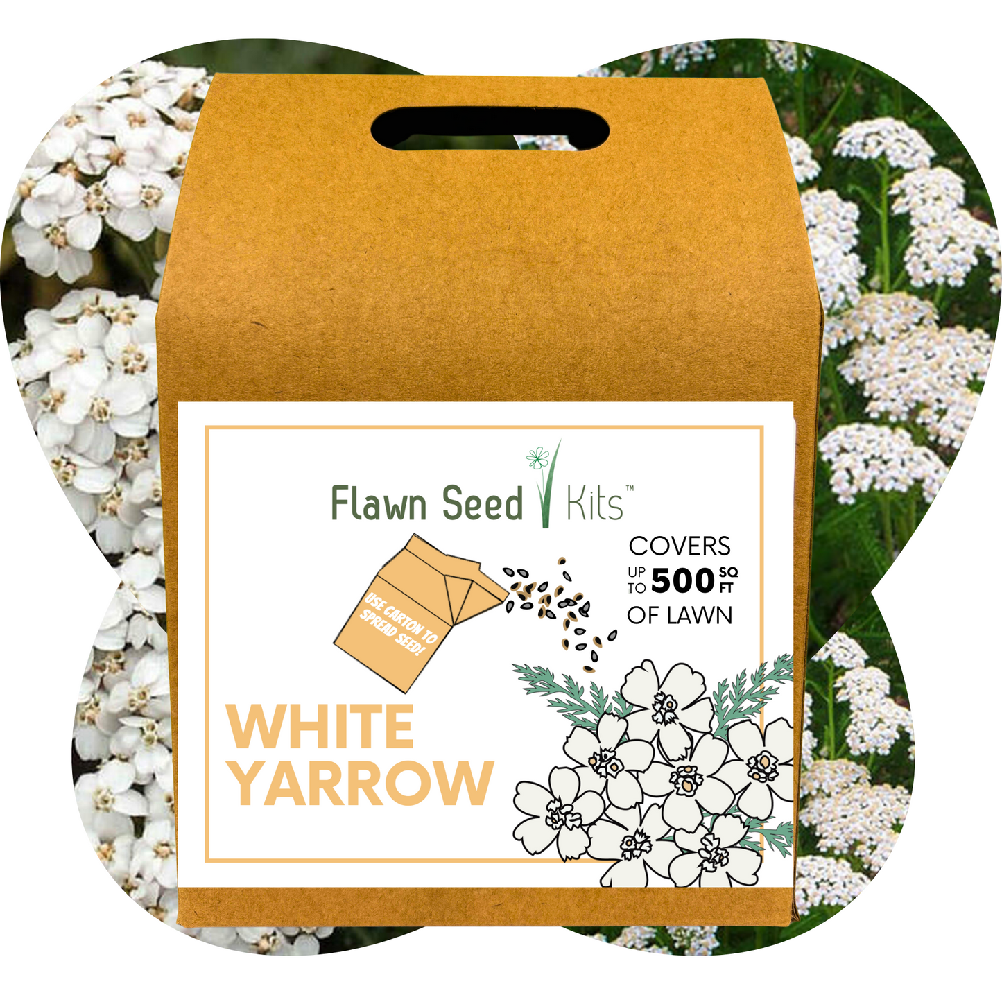 White Yarrow Eco-Friendly Seeding Kit - Blessings Grow Meadows