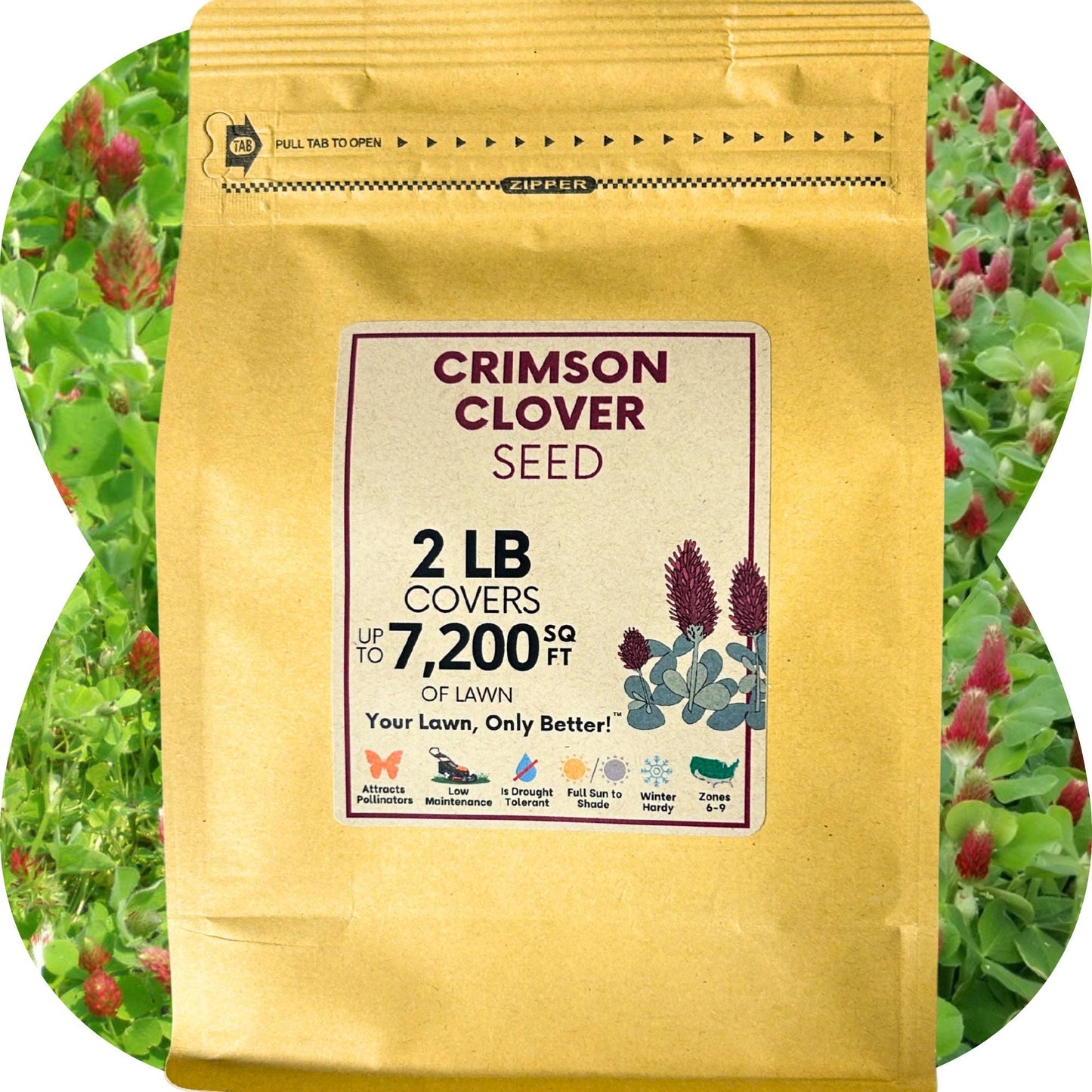 Crimson Clover Seed - Blessings Grow Meadows