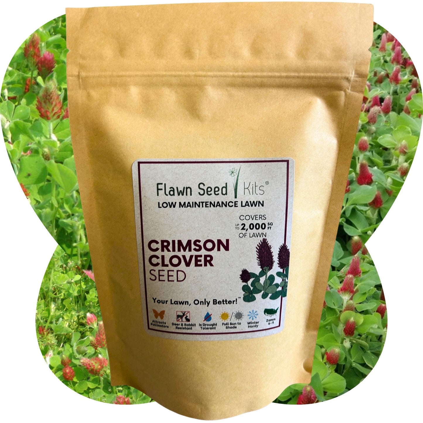 Crimson Clover Seed - Blessings Grow Meadows