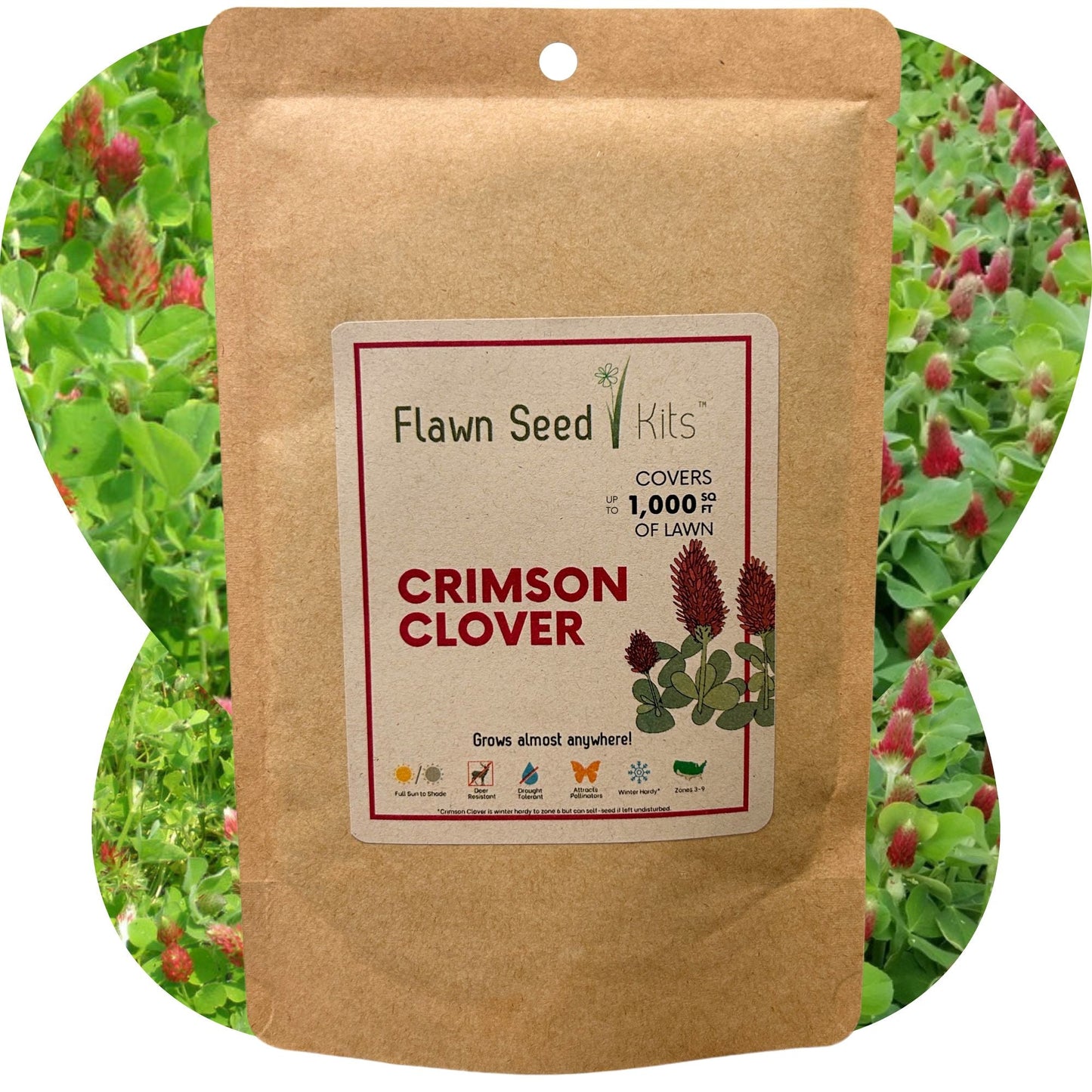 Crimson Clover Seed - Blessings Grow Meadows