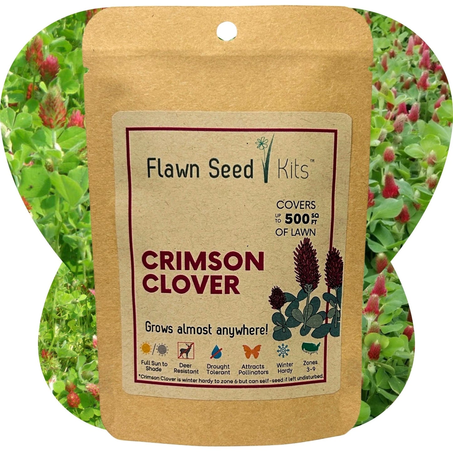 Crimson Clover Seed - Blessings Grow Meadows