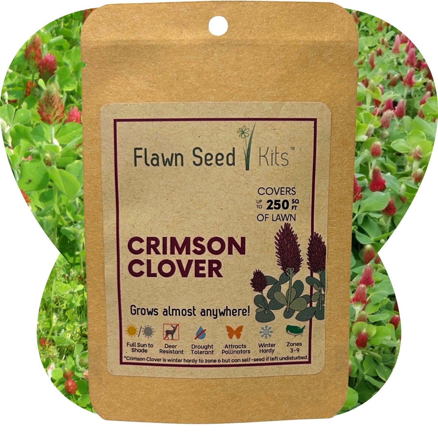Crimson Clover Seed - Blessings Grow Meadows