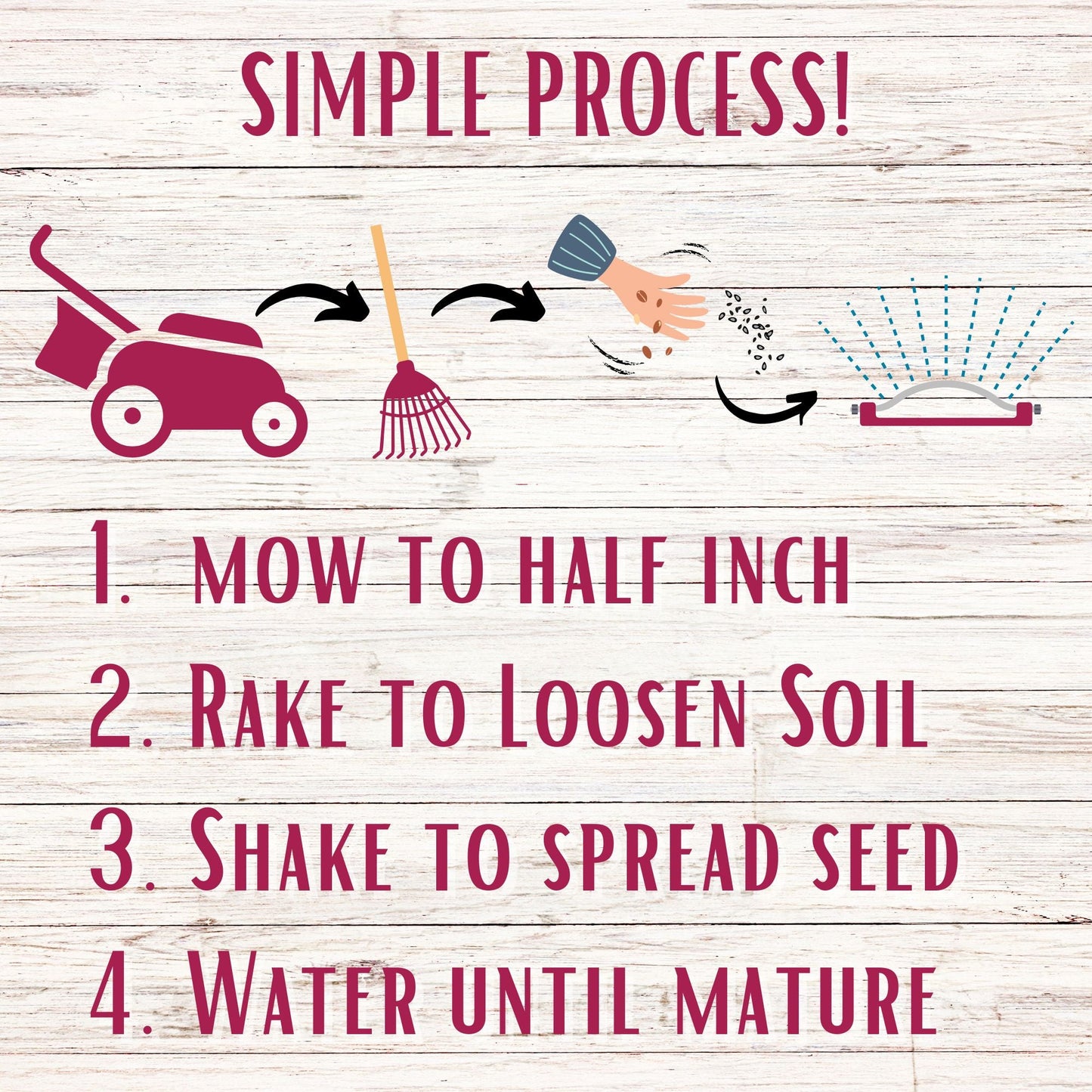 Crimson Clover Seed - Blessings Grow Meadows