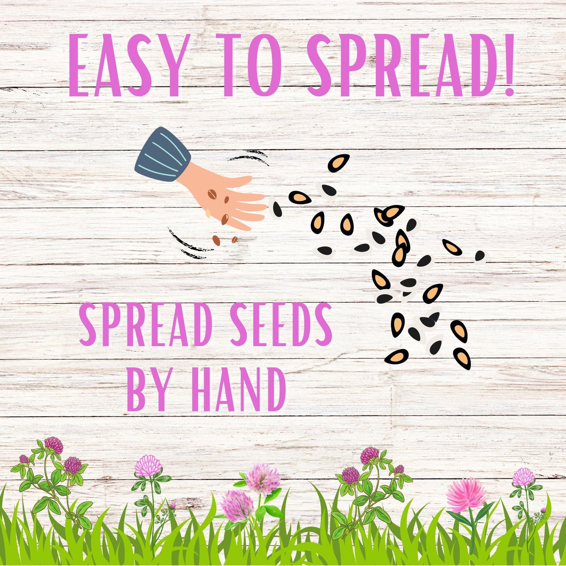 Medium Red Clover Seed Pouch - Blessings Grow Meadows