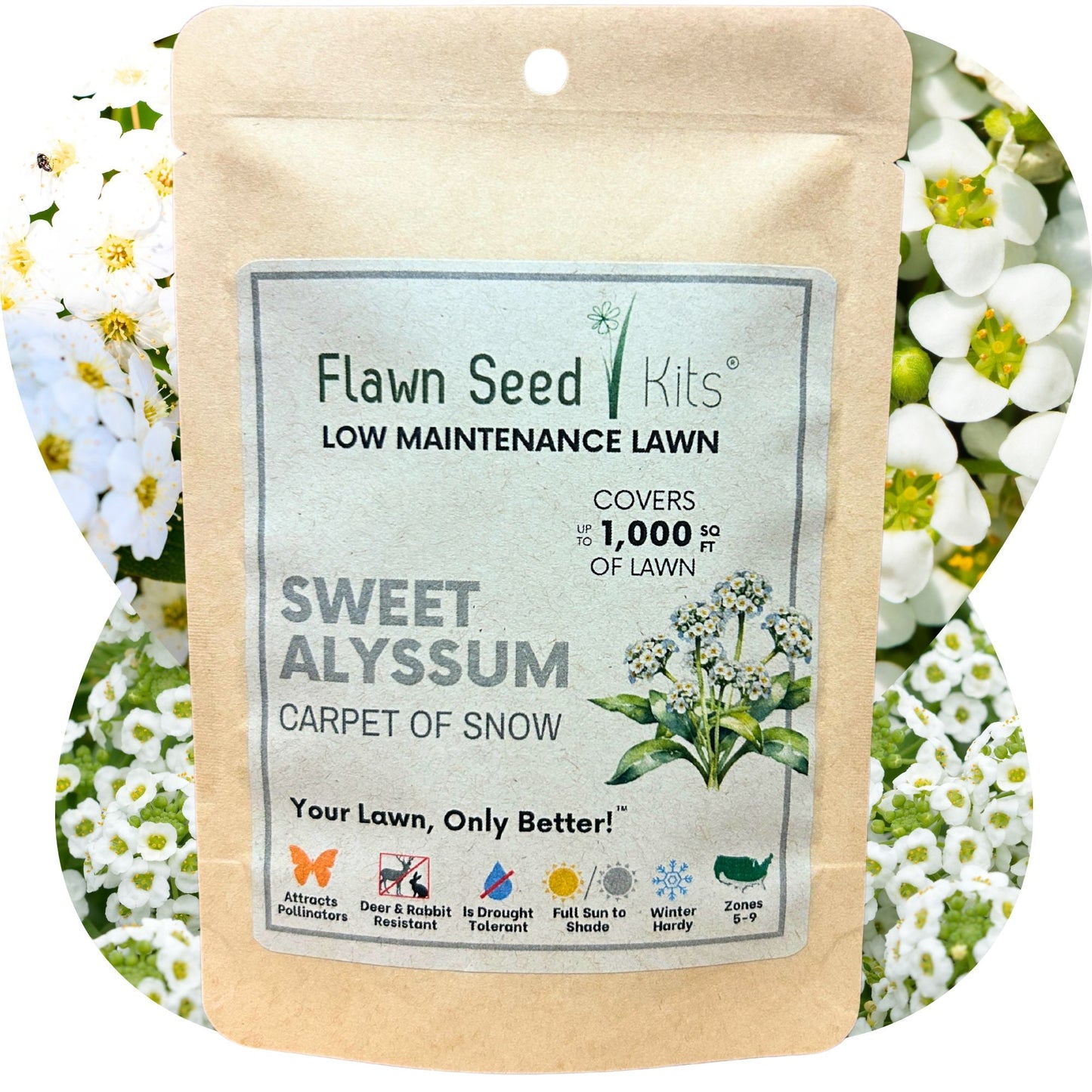 Sweet Alyssum Carpet Of Snow Seed Pouch - Blessings Grow Meadows