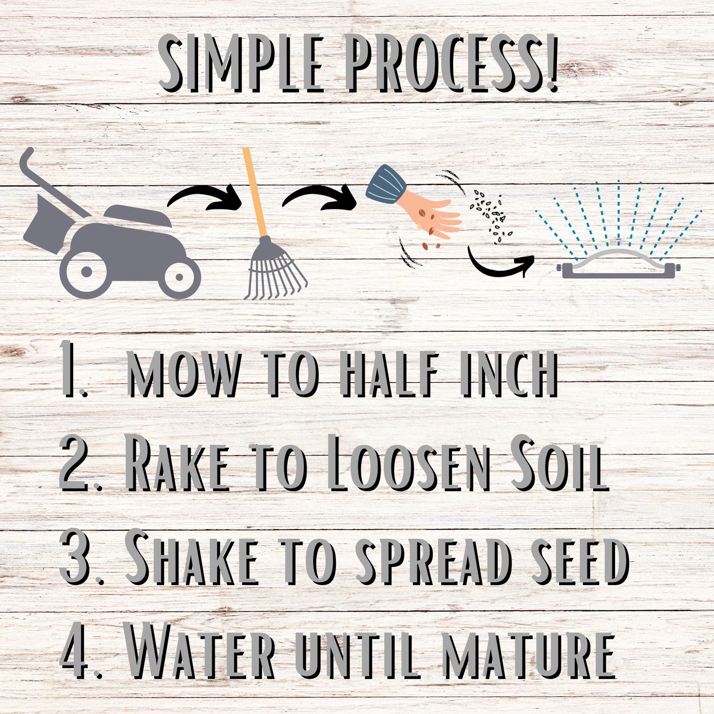 Sweet Alyssum Carpet Of Snow Seed Pouch - Blessings Grow Meadows